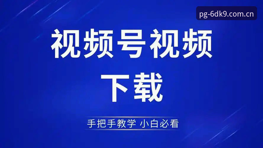 PG深耕服务版6DK9使用教程：从下载到上手的完整操作指南